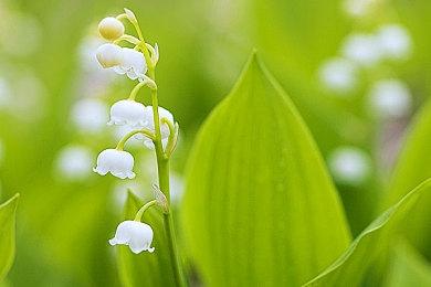 《霍格沃茨之遗》分院仪式后 玩家无法更换学院和魔杖